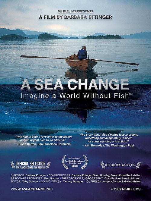 Movie poster for A Sea Change (2009)