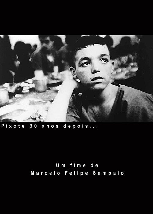 Movie poster for Pixote - 30 Anos Depois (2010)
