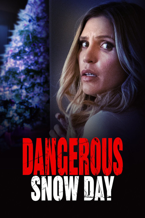 Movie poster for Dangerous Snow Day (2021)