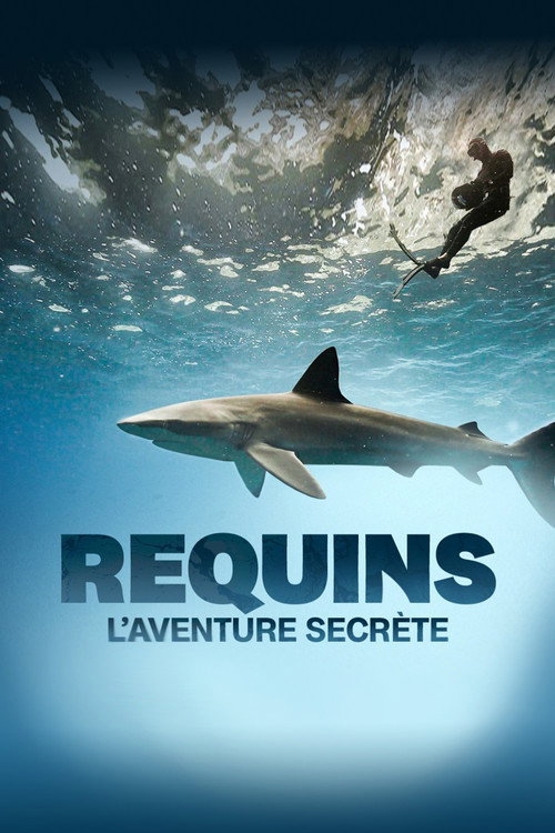 Movie poster for Sharks: The Secret Adventure (2022)