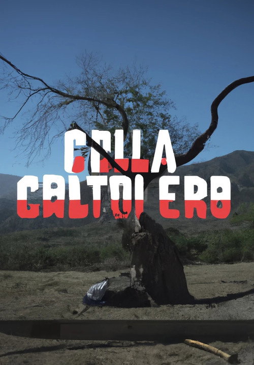 Movie poster for Calavera No Chilla
