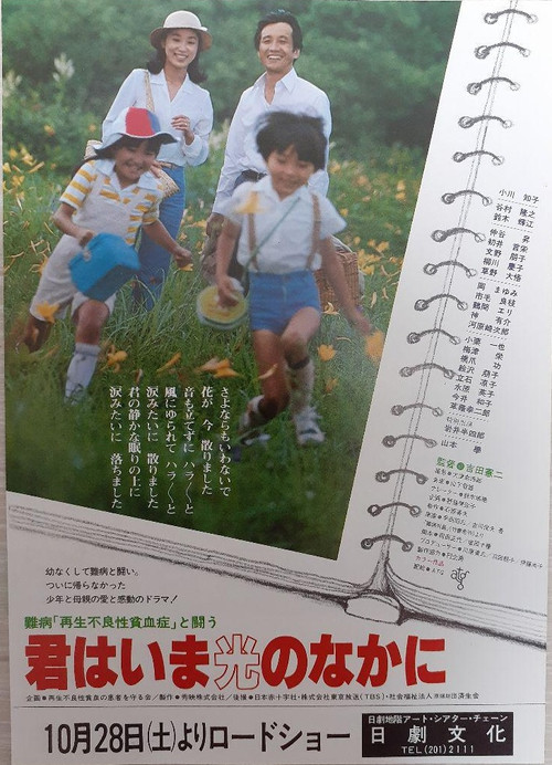 Movie poster for Fighting Against The Incurable Disease Aplastic Anemia – Now You Are In The Light (1978)