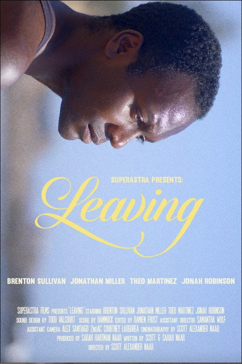 Movie poster for Leaving