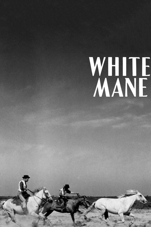 Movie poster for White Mane (1953)