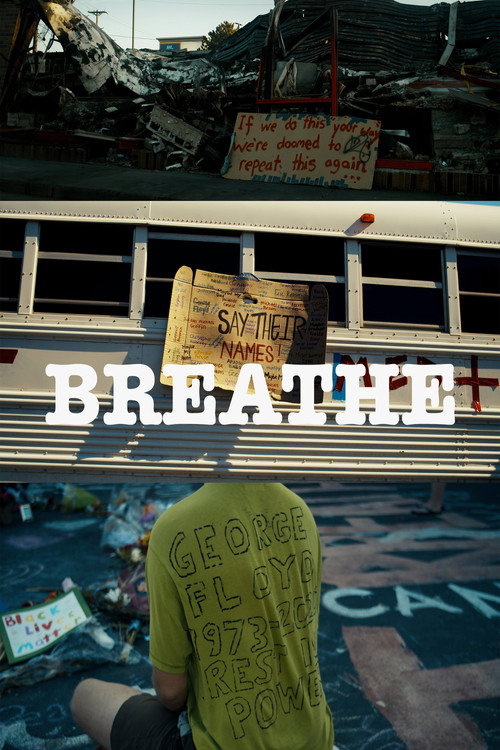 Movie poster for Breathe