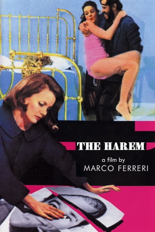 Movie poster for The Harem (1967)
