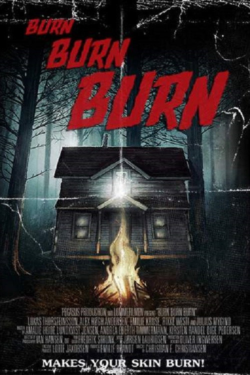 Movie poster for Burn Burn Burn (2015)