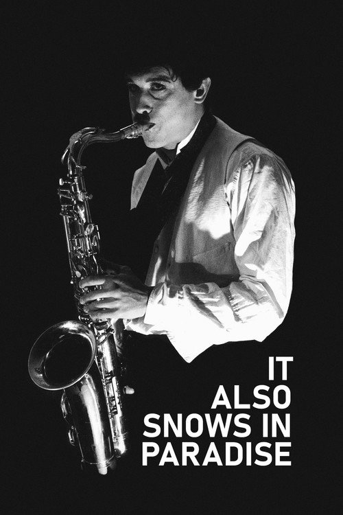 Movie poster for It Also Snows in Paradise (1994)