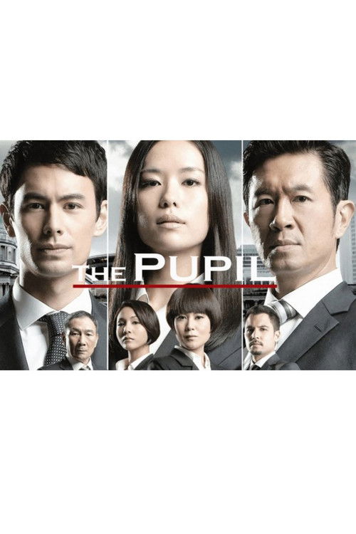 The Pupil poster