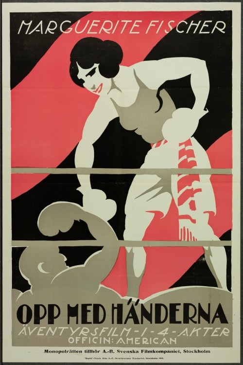Movie poster for Put up Your Hands (1919)