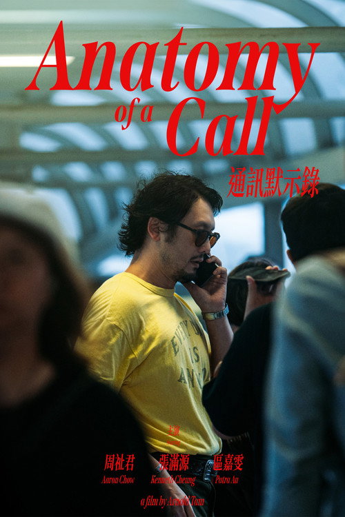 Movie poster for Anatomy of a Call (2024)