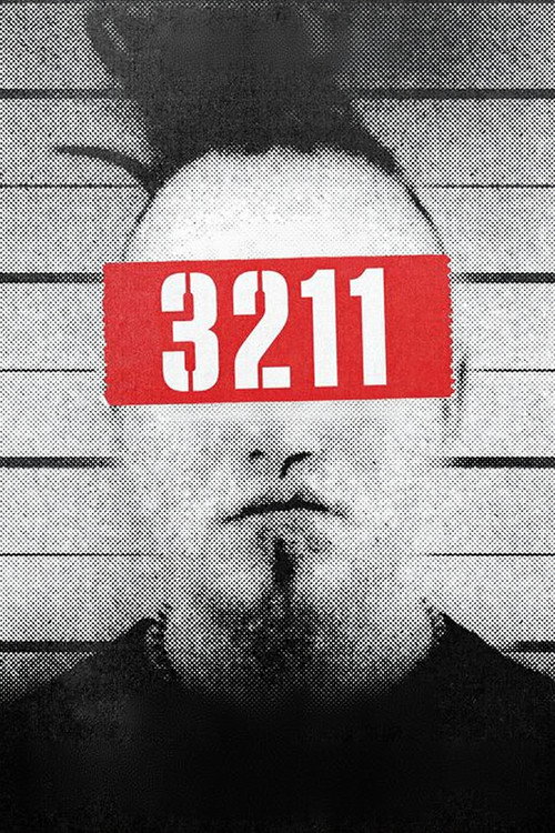 Movie poster for 3211 (2023)