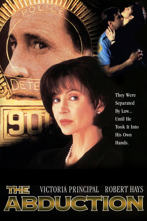 Movie poster for The Abduction (1996)