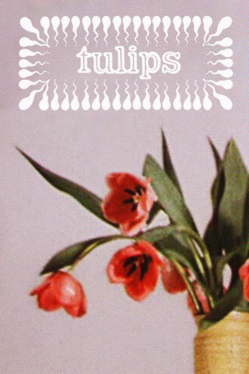 Tulips poster