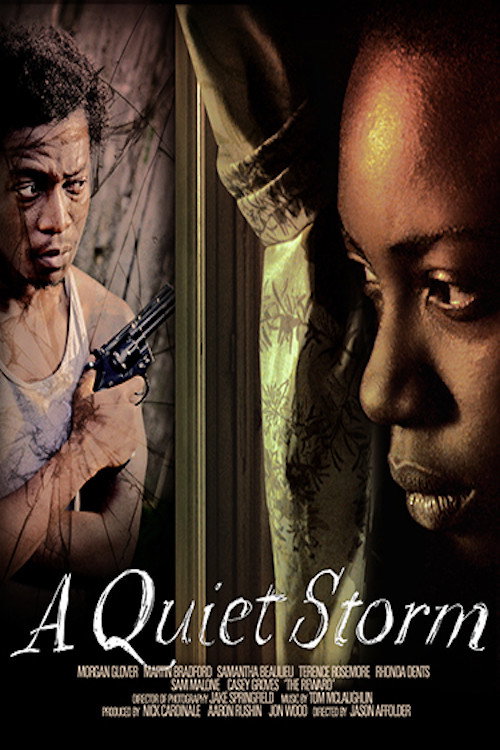 Movie poster for A Quiet Storm (2016)
