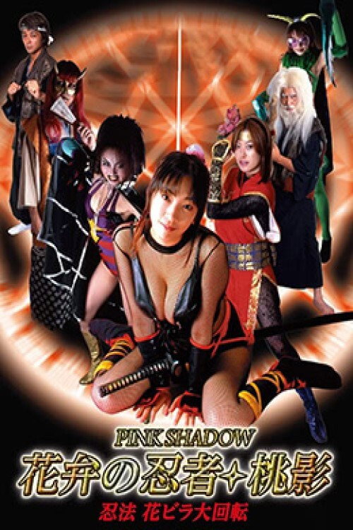 Movie poster for Pink Shadow (2002)