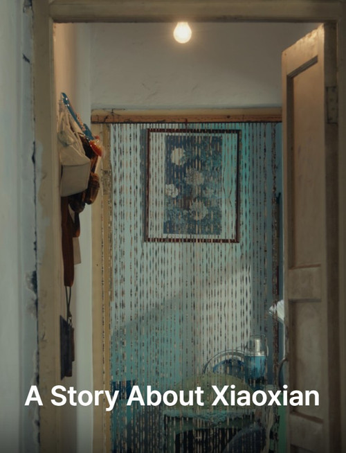 Movie poster for A Story About Xiaoxian (2025)