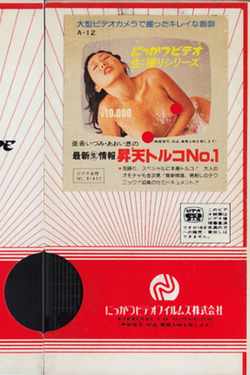 Movie poster for Izumi Aki and Megumi Aoi: Latest (Live) Turkish Information Ascension 1 (1981)