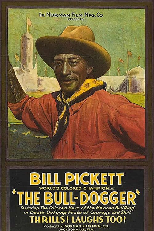 Movie poster for The Bull-Dogger (1921)