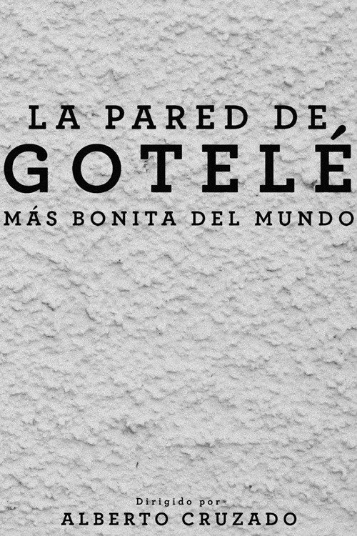 Movie poster for La pared de gotelé más bonita del mundo (2024)