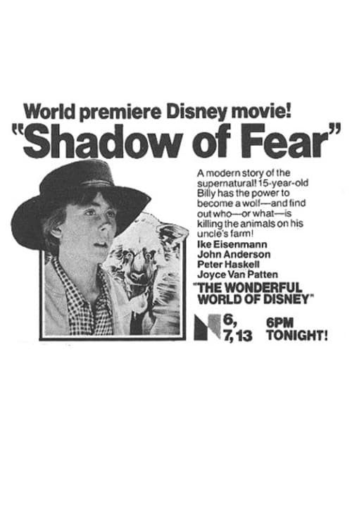 Movie poster for Shadow of Fear (1979)