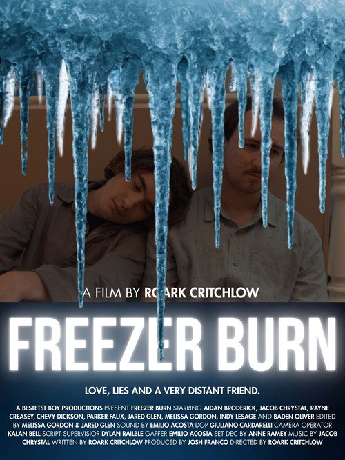 Movie poster for Freezer Burn
