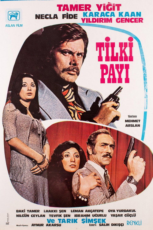 Movie poster for Tilki Payı (1976)