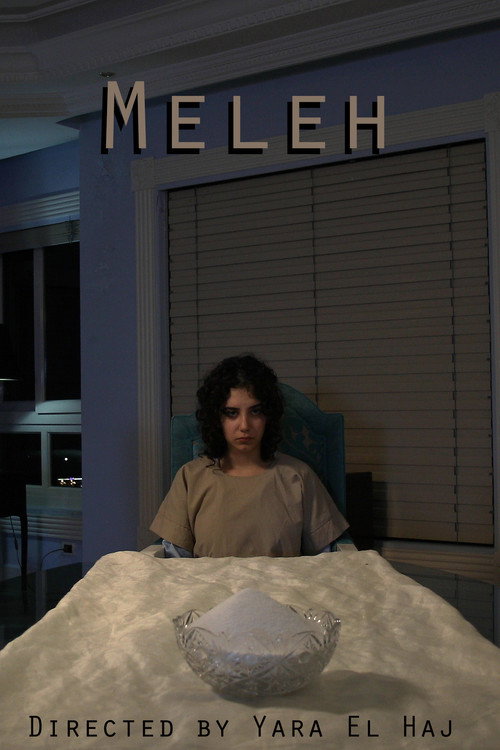 Movie poster for Salt (2022)