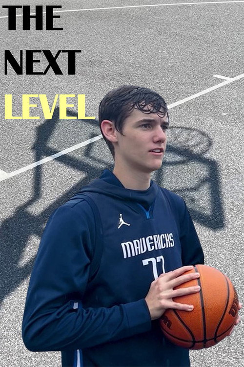 Movie poster for The Next Level (2024)