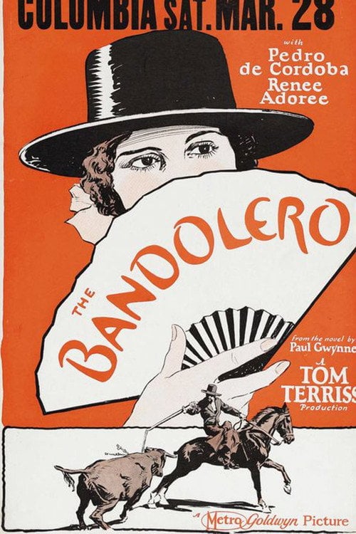 Movie poster for The Bandolero (1924)
