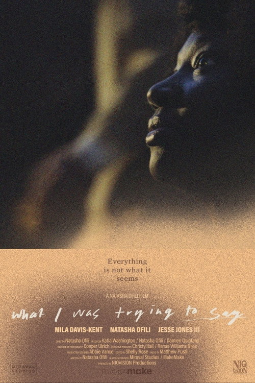 Movie poster for What I Was Trying to Say