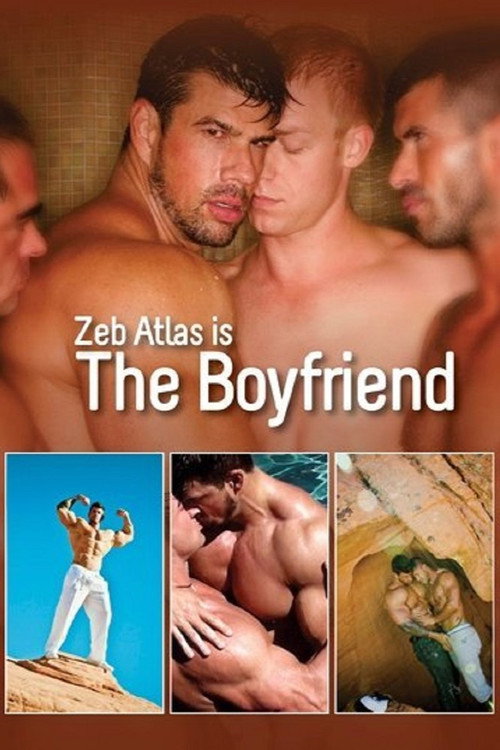Movie poster for The Boyfriend (2011)