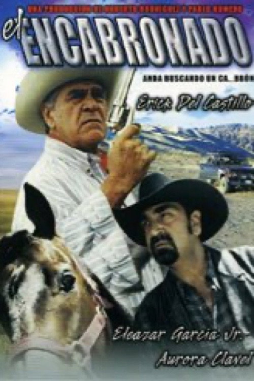 Movie poster for El encabronado (2000)