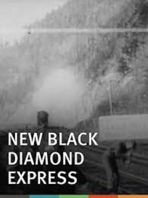 Movie poster for New Black Diamond Express (1900)