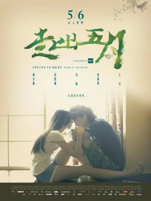 Movie poster for Goodbye May (2011)