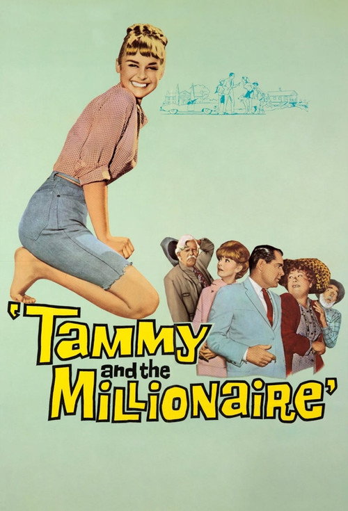 Movie poster for Tammy and the Millionaire (1967)