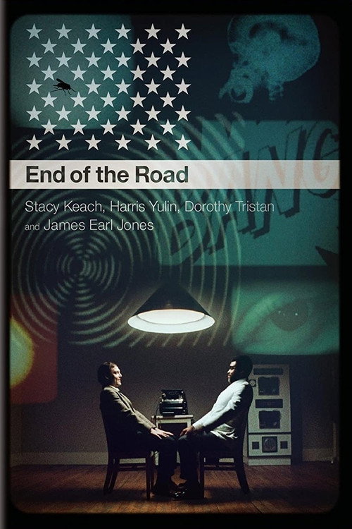 Movie poster for An Amazing Time: A Conversation About End of the Road (2012)