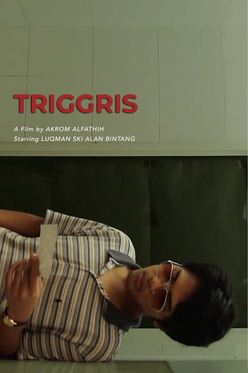 Movie poster for Triggris (2017)
