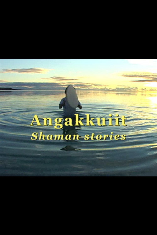 Movie poster for Shaman Stories (2003)