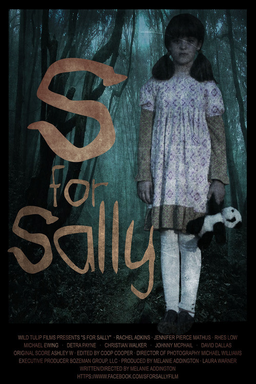 Movie poster for S for Sally (2013)