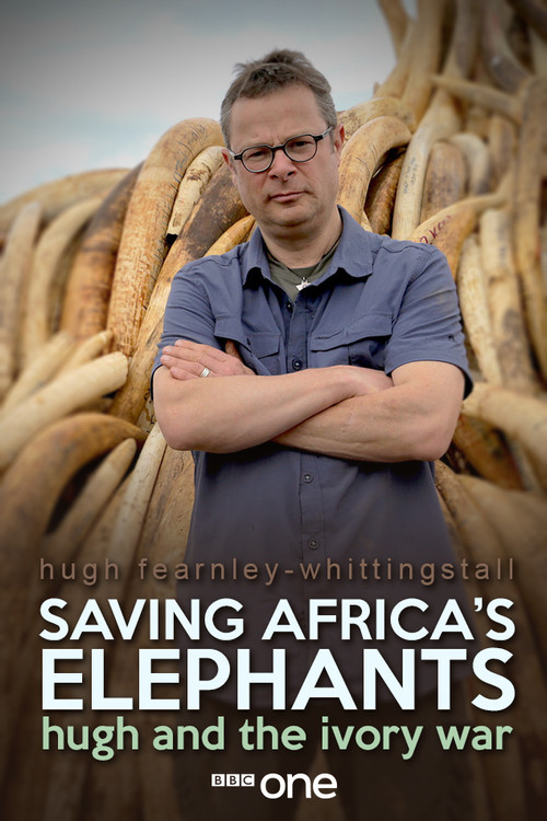 Saving Africa's Elephants: Hugh and the Ivory War poster