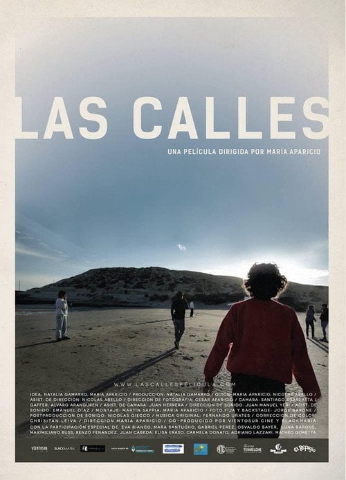 Movie poster for The Streets (2016)
