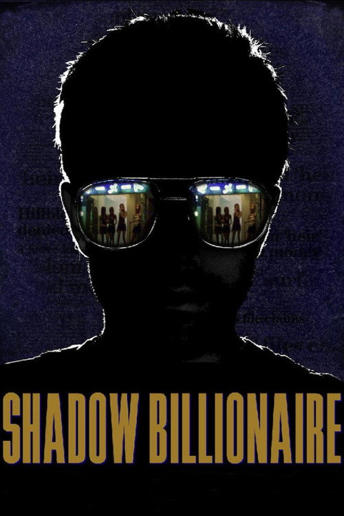 Movie poster for Shadow Billionaire (2009)