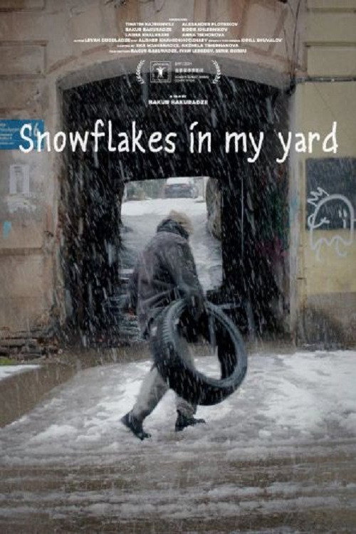 Movie poster for Snowflakes in my Yard (2025)