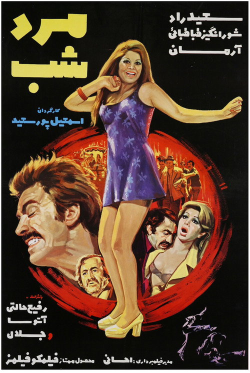Movie poster for The Man of Night (1974)