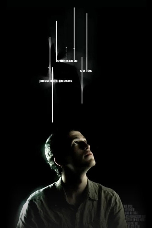 Movie poster for Lemniscata de les possibles causes
