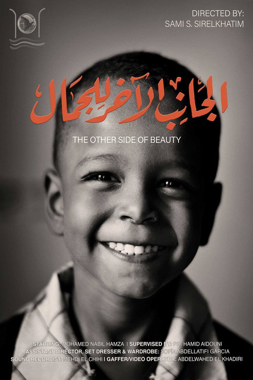 Movie poster for The Other Side of Beauty