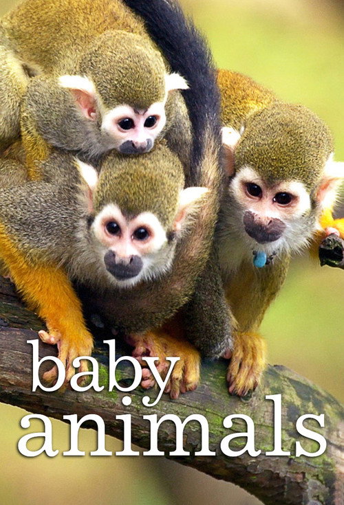 Series poster for Baby Animals (2015)