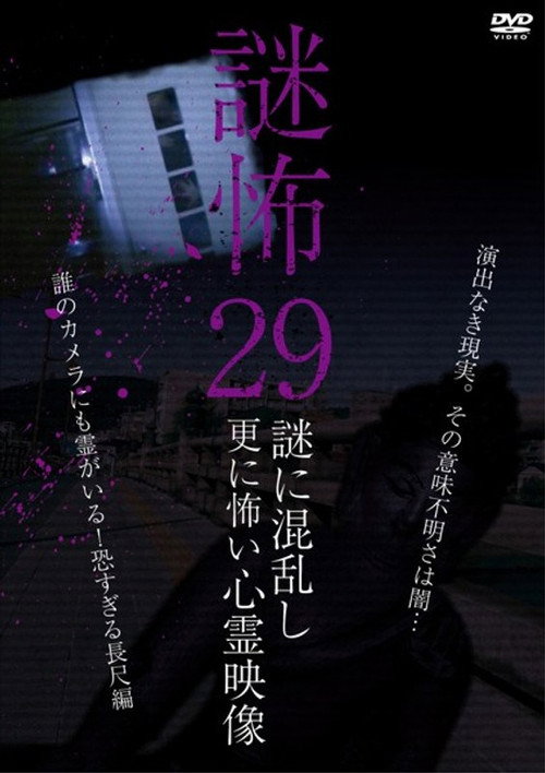 Movie poster for Mystery Horror 29: Ghost Videos Even Scarier in the Confusing Mystery (2020)
