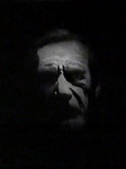 Movie poster for Shadow House (1973)